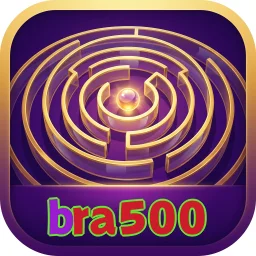 bra500